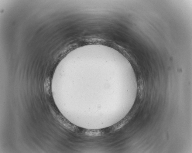 X0000085210767200704091906