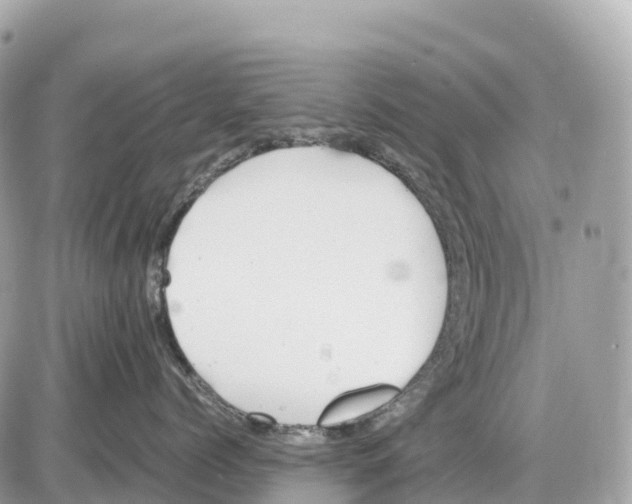 X0000085210768200704091906