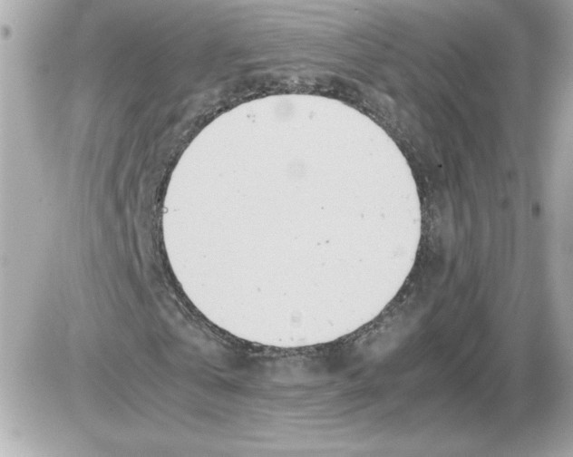 X0000085210769200704091905