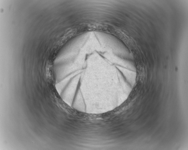 X0000085210770200704091905