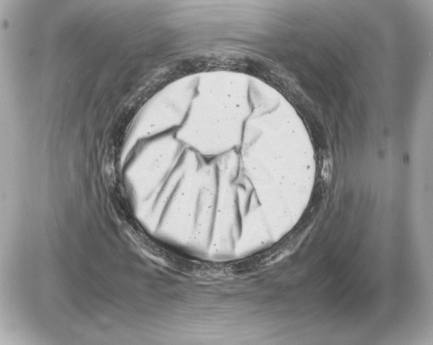 X0000085210771200704091905