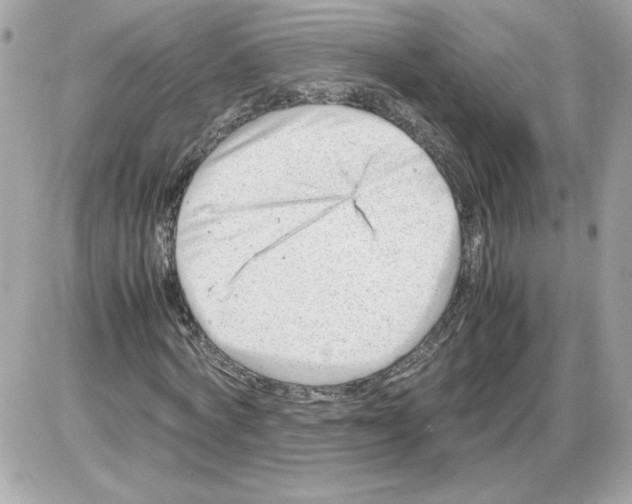 X0000085210772200704091905