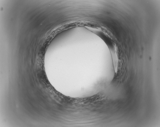 X0000085210773200704091905