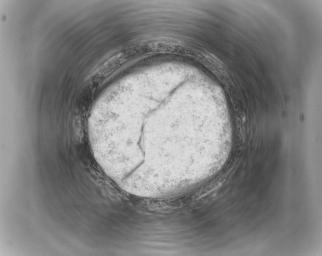 X0000085210774200704091905