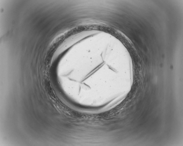 X0000085210775200704091905