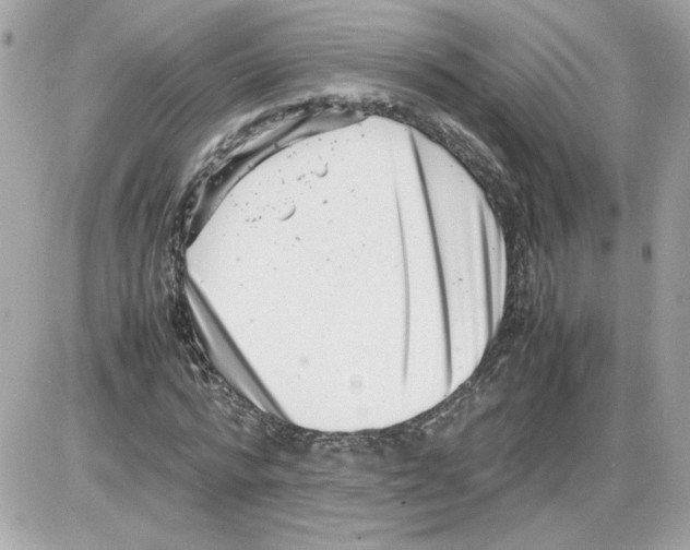 X0000085210776200704091905