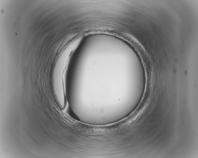 X0000085210777200704091905