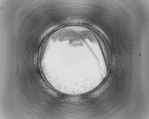 X0000085210778200704091905