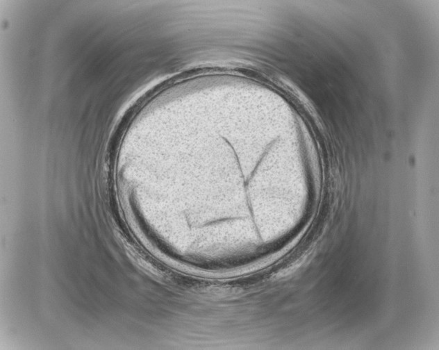 X0000085210779200704091905