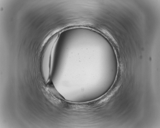 X0000085210781200704091905