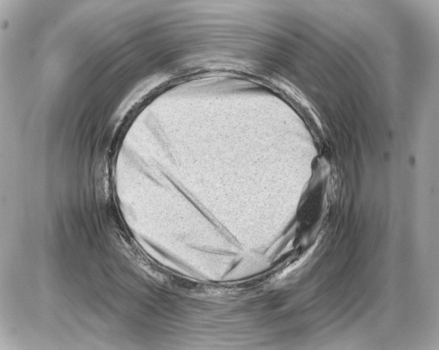 X0000085210782200704091905