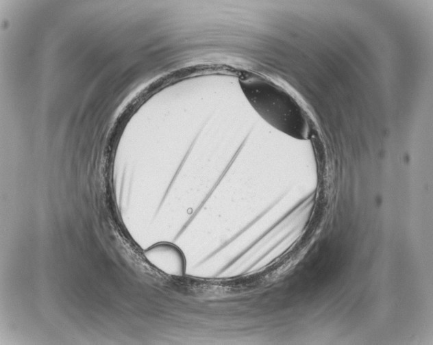 X0000085210783200704091905