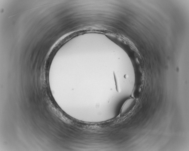 X0000085210784200704091905