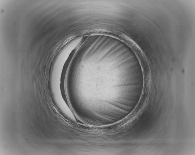 X0000085210785200704091905