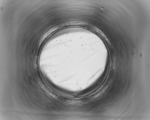 X0000085210786200704091905