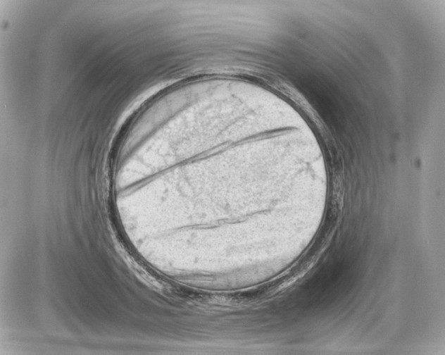 X0000085210787200704091905