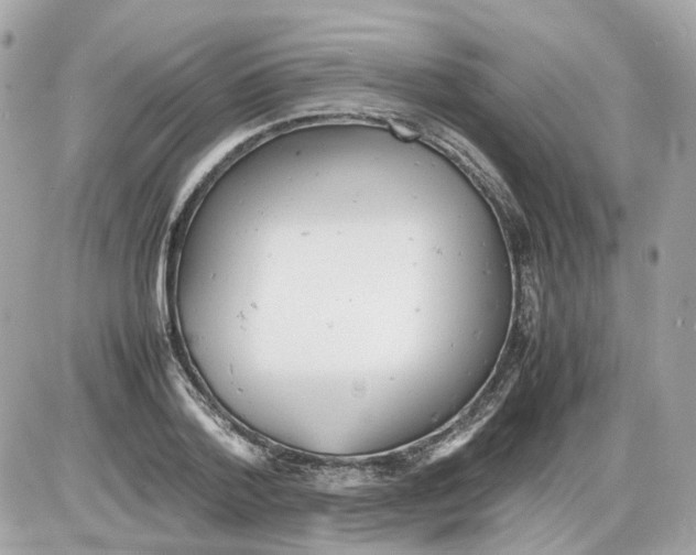 X0000085210788200704091905