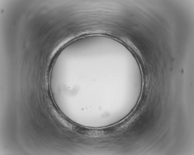 X0000085210789200704091905