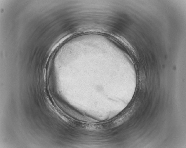 X0000085210790200704091905