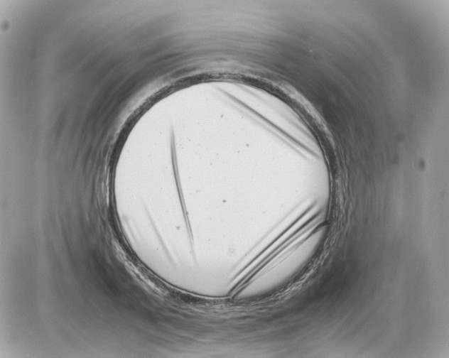 X0000085210791200704091905