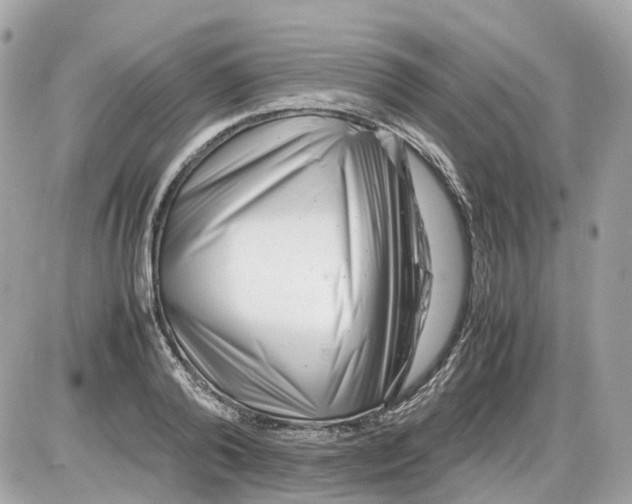 X0000085210792200704091905