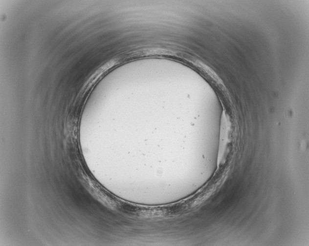 X0000085210793200704091905