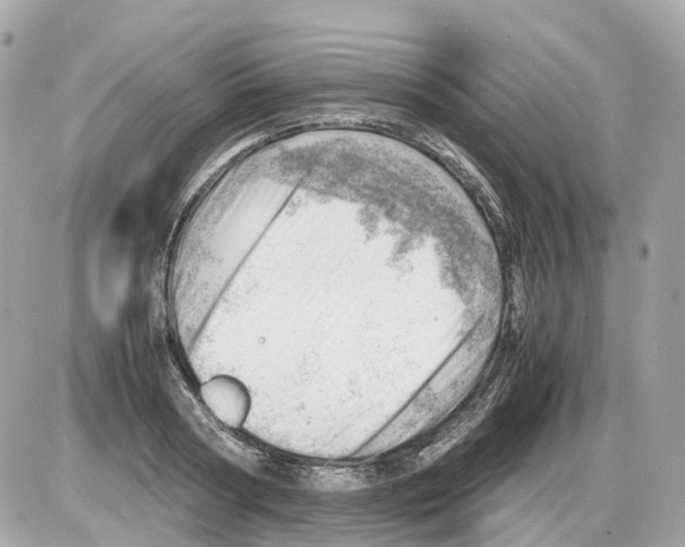 X0000085210794200704091905