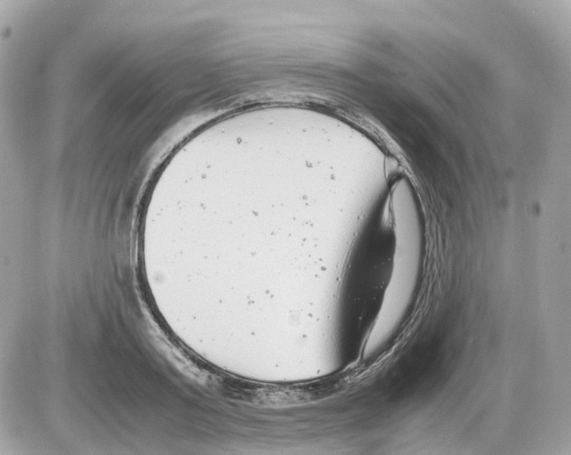 X0000085210795200704091905