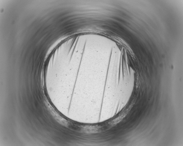 X0000085210796200704091905