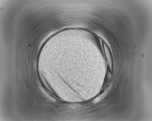 X0000085210797200704091905