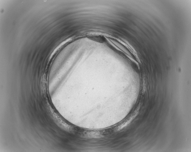 X0000085210798200704091905