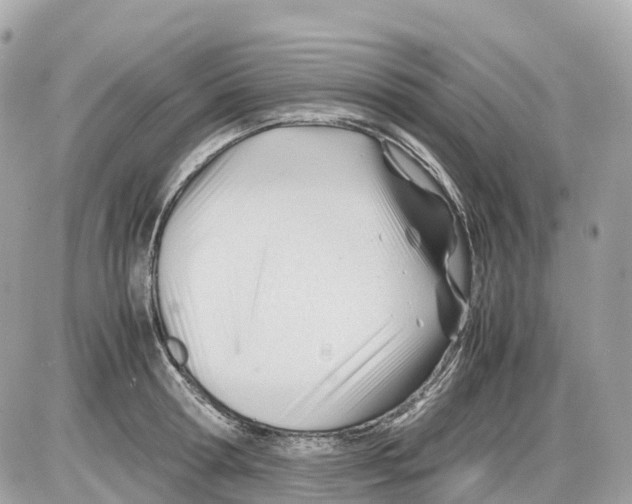 X0000085210802200704091905