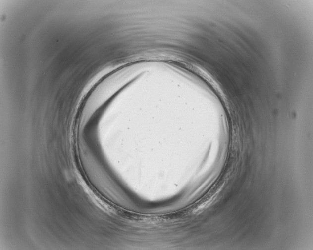 X0000085210803200704091905