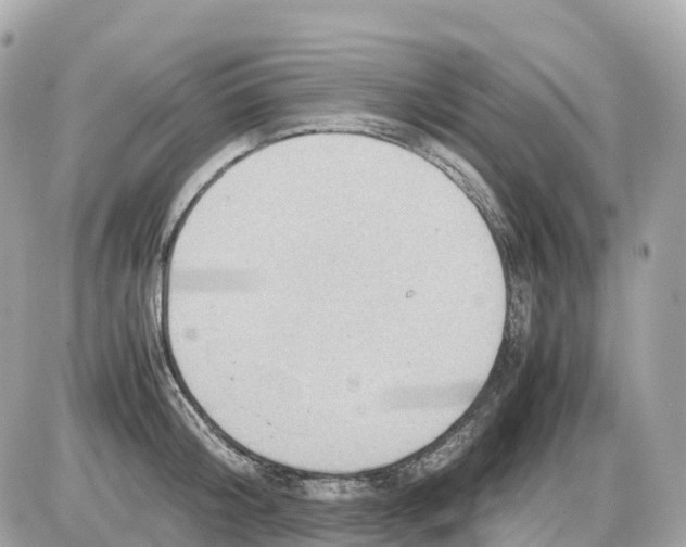 X0000085210804200704091905