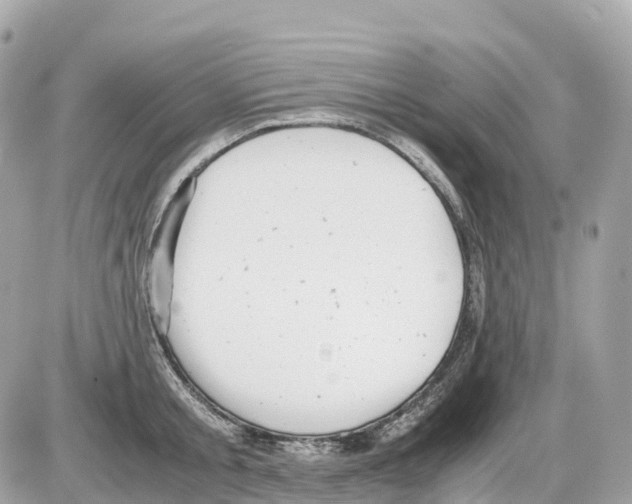 X0000085210805200704091905