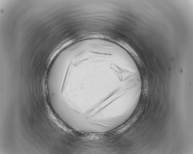 X0000085210806200704091905