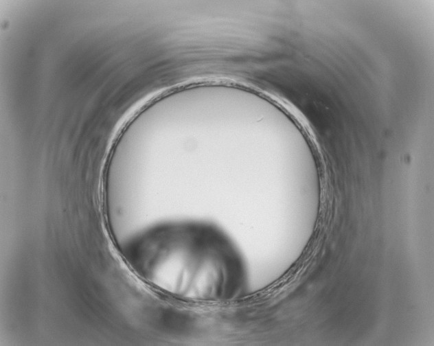 X0000085210807200704091905