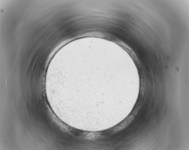 X0000085210808200704091905