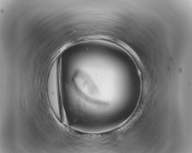 X0000085210809200704091905