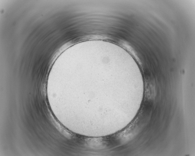 X0000085210810200704091905