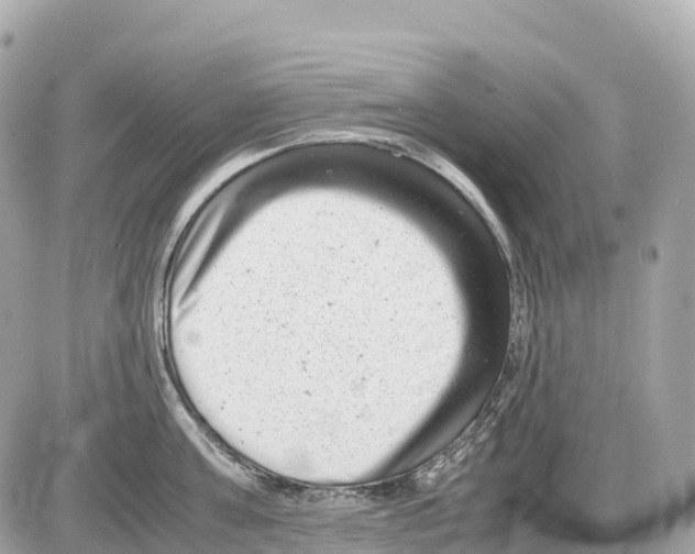 X0000085210811200704091905