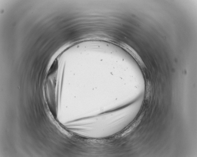 X0000085210812200704091905