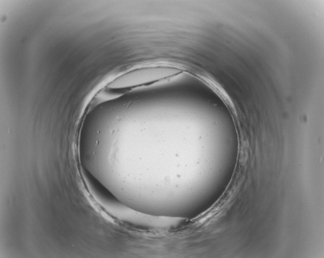 X0000085210813200704091905