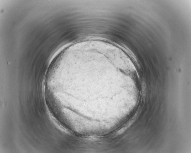 X0000085210814200704091905