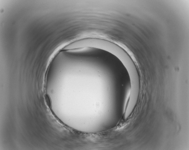 X0000085210815200704091905