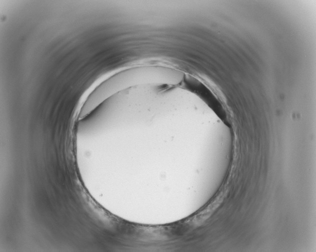 X0000085210816200704091904