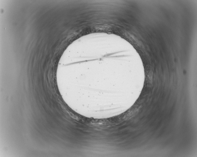 X0000085210817200704091904