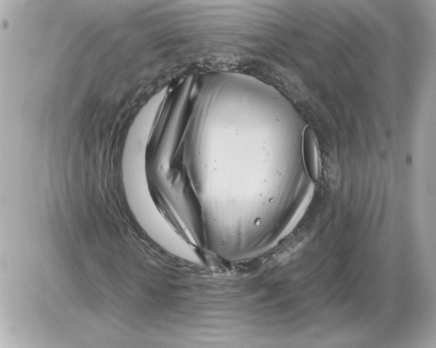 X0000085210818200704091904