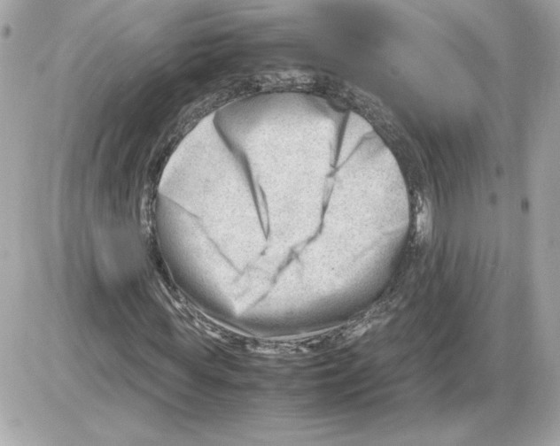 X0000085210819200704091904