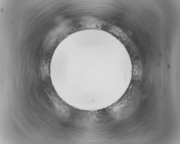 X0000085210820200704091904